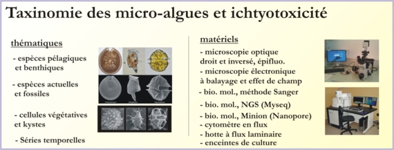 Taxinomie des micro-algues et ichtyotoxicité